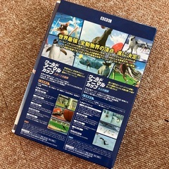 BBC ワールド・アニマル・カップ [初回限定]プレミアムBOX [DVD] の画像