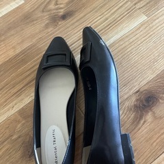 レインパンプス
の画像