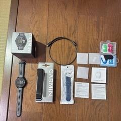 GARMIN FORERUNNER 165