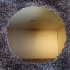中古品 キャットタワー の画像
