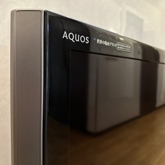 SHARP】AQUOS：LC-60LX1 世界の亀山モデル (クリムト) 鞍馬口の