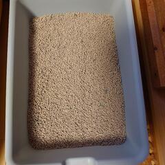 猫トイレとして2日使用したプラスチックトレー(猫砂入り)