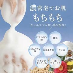 【新品未開封！赤字覚悟！最終】　ウィル クレンズ ボディソープ 薬用 ワキガ 体臭 加齢臭 汗 ニキビ 背中1本の画像