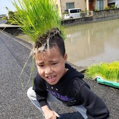 月1～2回開催中Σ＼(ﾟДﾟ;)