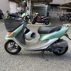 まとめて飛込見学大歓迎◆他在庫多数‼️ライブディオチェスタの画像
