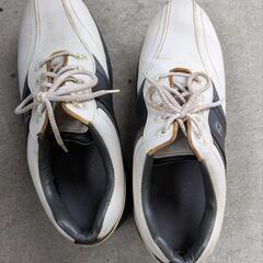 FootJoy ゴルフシューズ ホワイト/ブラック　シューズバッ...