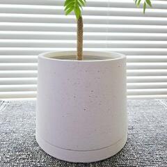 ◼️5号陶器鉢◼️鉢カバー (もみ) 川崎の家庭用品