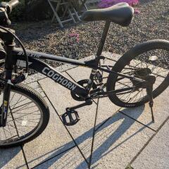 自転車　サイズ22 小学生男子の画像