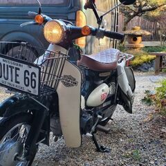 カブ５０ＣＣ　リトルカブ　バイクの画像
