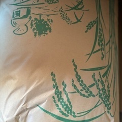 □古伊万里 志田窯「椿に鳥文10寸皿」□検）大皿江戸後期図変わり皿