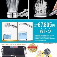 日丸屋製作所 シャワーヘッド 日本製塩素除去剤 節水 浄水 止水ボタン 水流調整 角度調整 アダプター付の画像