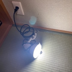スポットライト