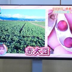 2021年 アンドロイドテレビ ４Ｋチューナー内蔵 シャープ ４...