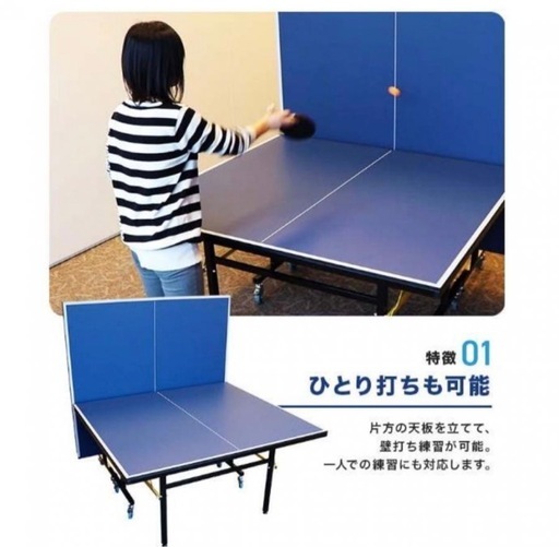 ティゴラ 卓球台 家庭用サイズ セパレート式移動キャスタ 一付 TR-2PG3049TTカテイ TIGORA 自主練習