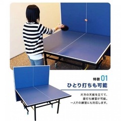 ティゴラ 卓球台 家庭用サイズ セパレート式移動キャスタ 一付 TR-2PG3049TTカテイ TIGORA 自主練習の画像