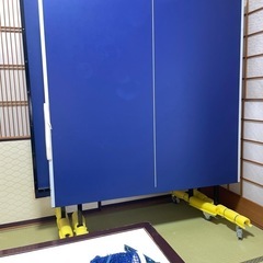 ティゴラ 卓球台 家庭用サイズ セパレート式移動キャスタ 一付 TR-2PG3049TTカテイ TIGORA 自主練習の画像