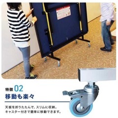 ティゴラ 卓球台 家庭用サイズ セパレート式移動キャスタ 一付 TR-2PG3049TTカテイ TIGORA 自主練習の画像