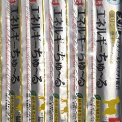 いなば　エネルギーちゅーる