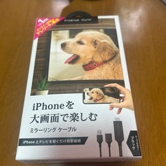 i ihoneを大画面で見る
