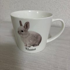 【お譲り先決まりました】食器の画像