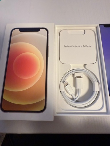 iPhone iPhone12 mini