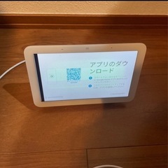 Google Nest Hub