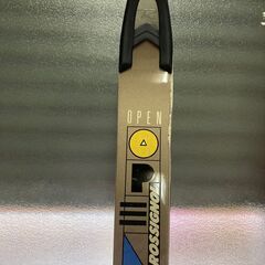 【家屋解体に伴い、スキー板差し上げます】（ロシュニオール）