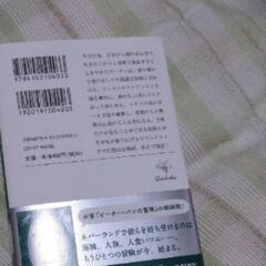 ピーター・パンの画像