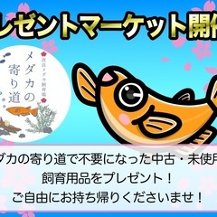 メダカ飼育用品／プレゼントマーケット開催！