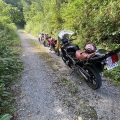 ホンダNS1の画像