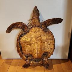 亀の甲羅の工芸品の画像