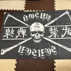 武装戦線の旗🚩の画像