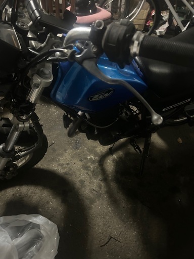 バイク tw200