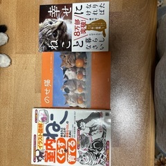 猫の本3冊