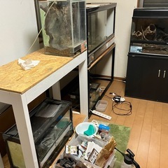 ペット用品　爬虫類　両生類の画像