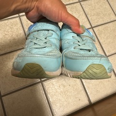 瞬足　青のみ
22センチの画像