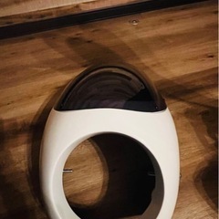 Baby face ビキニカウルの画像