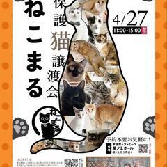 😸ねこまる😸保護猫譲渡会🐈‍⬛🐈🐾ファミーユ尾ノ上ホール
