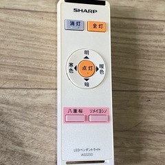 ライト　吊り下げタイプ（リモコン付き）【値下げ交渉可】の画像