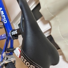 GIOS AMPIO 室内保管2012 の画像