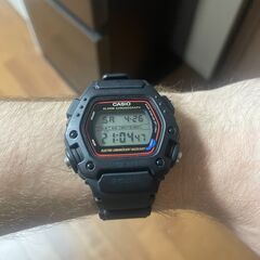 Casio DW-290 時計