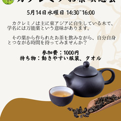 カクレミノお茶瞑想会