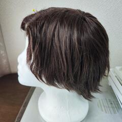 ラプンツェル ウィッグの画像