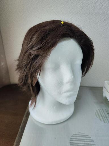 即購入⭕️ ラプンツェル ウィッグ グリイメージ