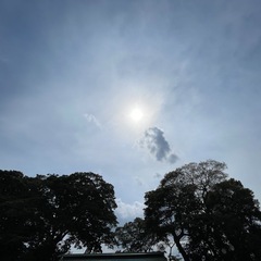 タロット占い