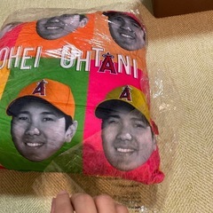 大谷翔平　クッションの画像