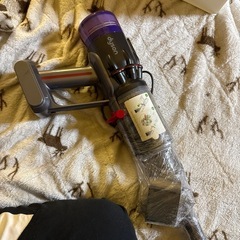 ダイソンSV21