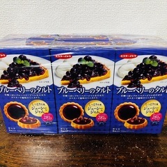 ブルーベリーのタルト6箱