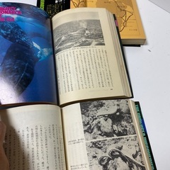 クストー海洋探検シリーズNo.2.3.4 希少の画像