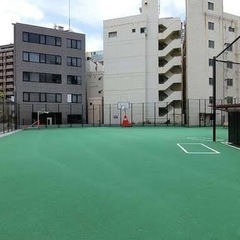 硬球でキャッチボールしませんか？ - スポーツ